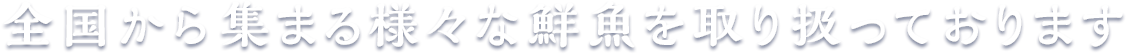 全国から集まる様々な鮮魚を取り扱っております